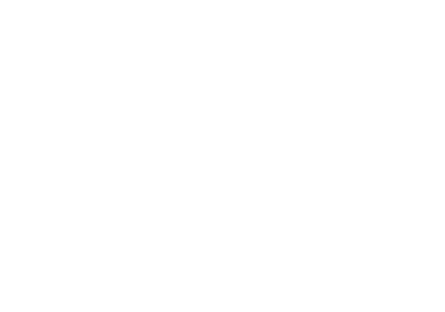 IDV Ingénierie