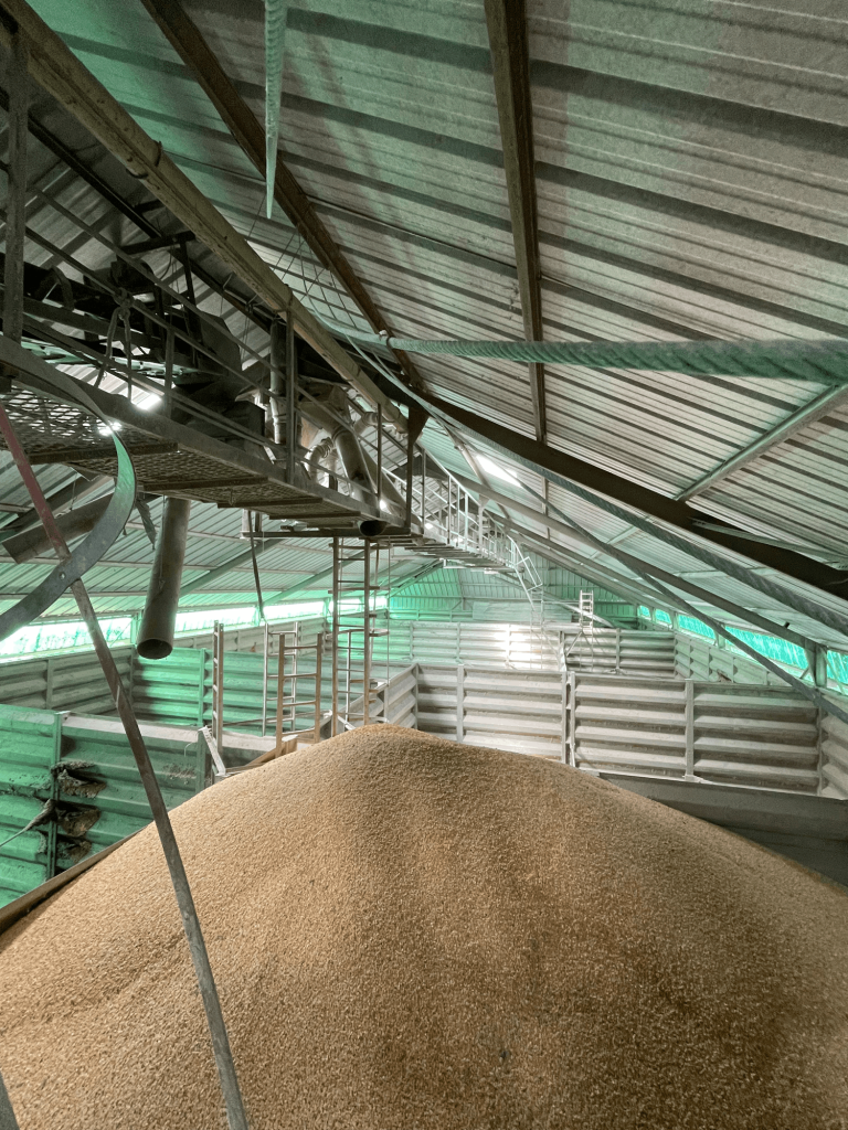 Création d'un nouveau site de stockage de céréales - Coopérative Agricole (24)