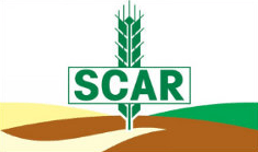 Logo Scoop SCAR (24) Logo Scoop SCAR (24)